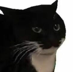 I love maxwell I love maxwell